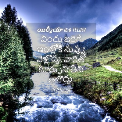Picture 04 - యిర్మీయా 16:8 TELIRV - విందు జరిగే - Bible Verse Picture