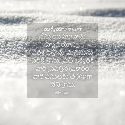 Picture 04 - యిర్మీయా 17:10 TELIRV - నేను యెహోవాను. - Bible Verse Picture
