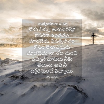 Picture 04 - యిర్మీయా 17:16 TELIRV - నేను నిన్ను - Bible Verse Picture