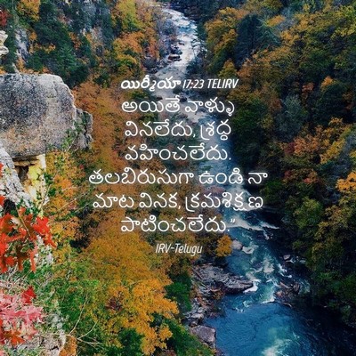Picture 04 - యిర్మీయా 17:23 TELIRV - అయితే వాళ్ళు - Bible Verse Picture