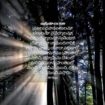 Picture 04 - యిర్మీయా 17:26 TELIRV - ప్రజలు దహనబలులనూ - Bible Verse Picture
