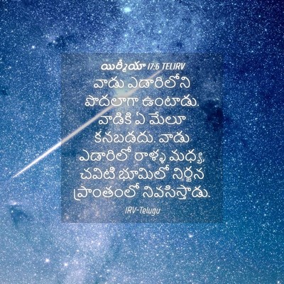 Picture 04 - యిర్మీయా 17:6 TELIRV - వాడు ఎడారిలోని - Bible Verse Picture