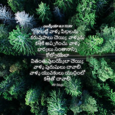 Picture 04 - యిర్మీయా 18:21 TELIRV - కాబట్టి వాళ్ళ - Bible Verse Picture