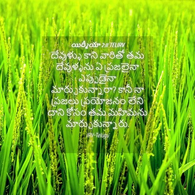 Picture 04 - యిర్మీయా 2:11 TELIRV - దేవుళ్ళు కాని - Bible Verse Picture