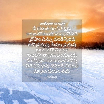 Picture 04 - యిర్మీయా 2:19 TELIRV - నీ చెడుతనం నీ - Bible Verse Picture