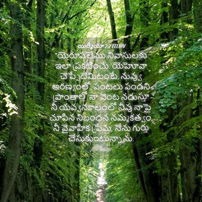 Picture 04 - యిర్మీయా 2:2 TELIRV - “యెరూషలేము - Bible Verse Picture