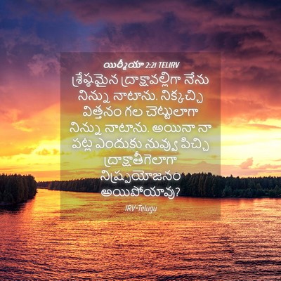 Picture 04 - యిర్మీయా 2:21 TELIRV - శ్రేష్ఠమైన - Bible Verse Picture