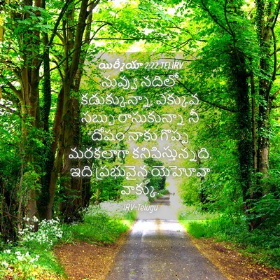 Picture 04 - యిర్మీయా 2:22 TELIRV - నువ్వు నదిలో - Bible Verse Picture