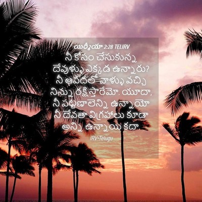 Picture 04 - యిర్మీయా 2:28 TELIRV - నీ కోసం చేసుకున్న - Bible Verse Picture