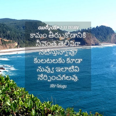 Picture 04 - యిర్మీయా 2:33 TELIRV - కామం - Bible Verse Picture