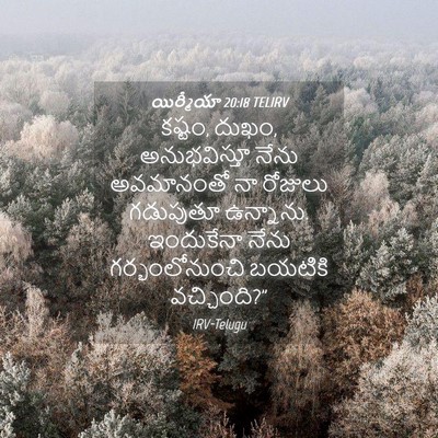 Picture 04 - యిర్మీయా 20:18 TELIRV - కష్టం, దుఖం, - Bible Verse Picture