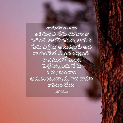 Picture 04 - యిర్మీయా 20:9 TELIRV - ‘ఇక నుంచి నేను - Bible Verse Picture