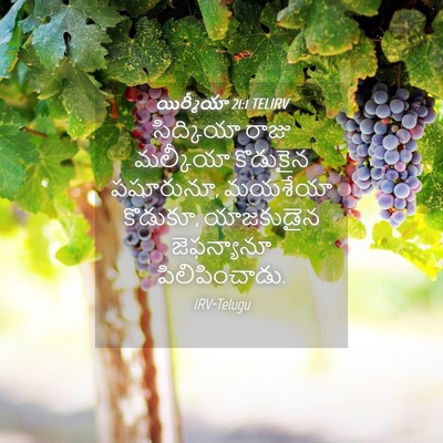 Picture 04 - యిర్మీయా 21:1 TELIRV - సిద్కియా రాజు - Bible Verse Picture