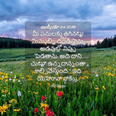 Picture 04 - యిర్మీయా 21:14 TELIRV - మీ పనులకు - Bible Verse Picture