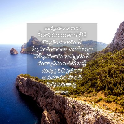 Picture 04 - యిర్మీయా 22:22 TELIRV - నీ కాపరులంతా - Bible Verse Picture