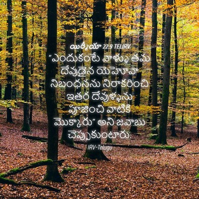 Picture 04 - యిర్మీయా 22:9 TELIRV - “ఎందుకంటే వాళ్ళు - Bible Verse Picture