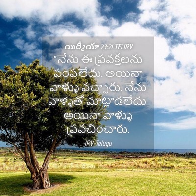 Picture 04 - యిర్మీయా 23:21 TELIRV - “నేను ఈ - Bible Verse Picture