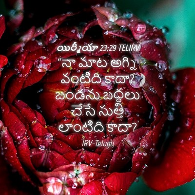 Picture 04 - యిర్మీయా 23:29 TELIRV - “నా మాట అగ్ని - Bible Verse Picture