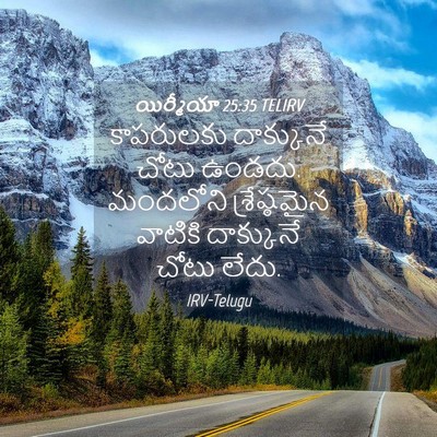 Picture 04 - యిర్మీయా 25:35 TELIRV - కాపరులకు దాక్కునే - Bible Verse Picture