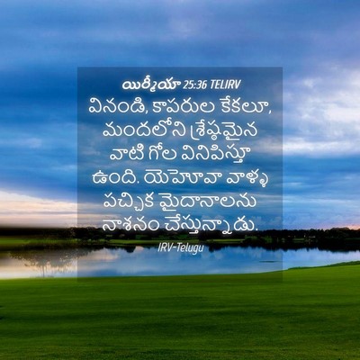 Picture 04 - యిర్మీయా 25:36 TELIRV - వినండి, కాపరుల - Bible Verse Picture