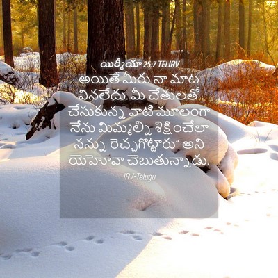 Picture 04 - యిర్మీయా 25:7 TELIRV - అయితే మీరు నా మాట - Bible Verse Picture