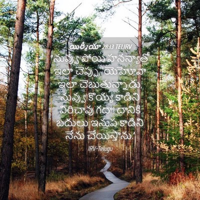 Picture 04 - యిర్మీయా 28:13 TELIRV - “నువ్వు పోయి - Bible Verse Picture