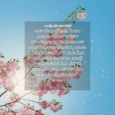 Picture 04 - యిర్మీయా 28:14 TELIRV - ఇశ్రాయేలు దేవుడు - Bible Verse Picture
