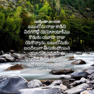 Picture 04 - యిర్మీయా 28:4 TELIRV - బబులోను రాజు - Bible Verse Picture
