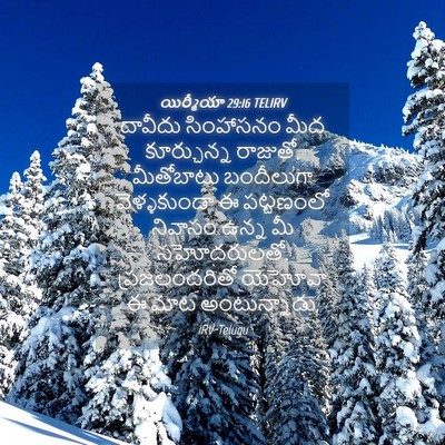 Picture 04 - యిర్మీయా 29:16 TELIRV - దావీదు సింహాసనం - Bible Verse Picture
