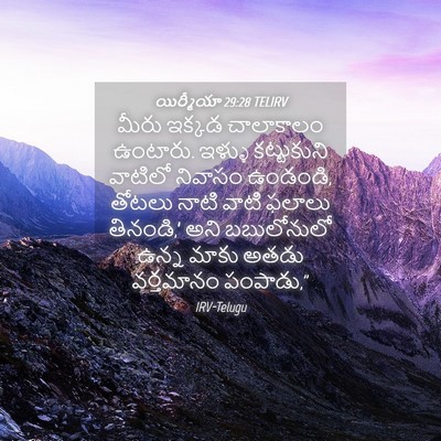Picture 04 - యిర్మీయా 29:28 TELIRV - మీరు ఇక్కడ - Bible Verse Picture