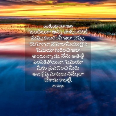 Picture 04 - యిర్మీయా 29:31 TELIRV - “బందీలుగా ఉన్న - Bible Verse Picture