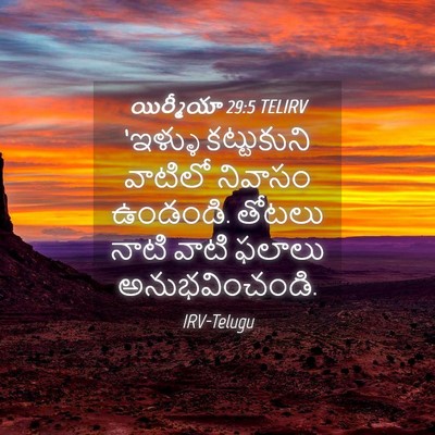 Picture 04 - యిర్మీయా 29:5 TELIRV - ‘ఇళ్ళు కట్టుకుని - Bible Verse Picture