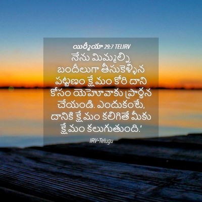 Picture 04 - యిర్మీయా 29:7 TELIRV - నేను మిమ్మల్ని - Bible Verse Picture