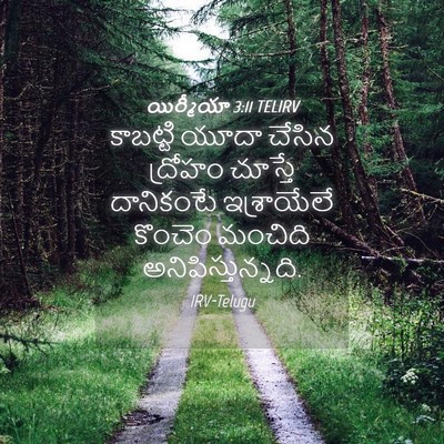 Picture 04 - యిర్మీయా 3:11 TELIRV - కాబట్టి యూదా - Bible Verse Picture