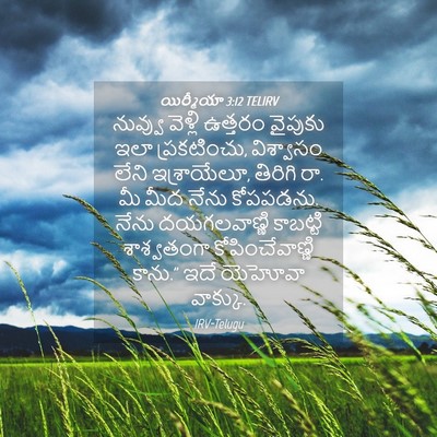 Picture 04 - యిర్మీయా 3:12 TELIRV - నువ్వు వెళ్లి - Bible Verse Picture