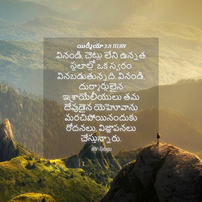 Picture 04 - యిర్మీయా 3:21 TELIRV - వినండి, చెట్లు - Bible Verse Picture