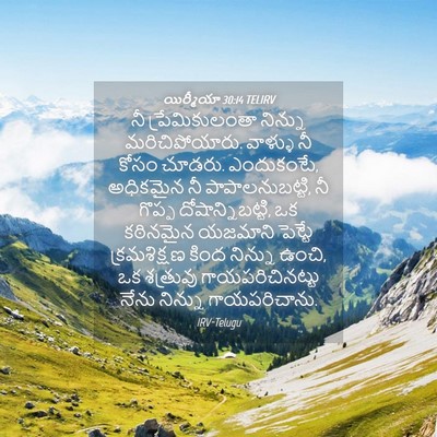 Picture 04 - యిర్మీయా 30:14 TELIRV - నీ ప్రేమికులంతా - Bible Verse Picture