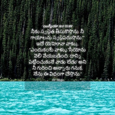 Picture 04 - యిర్మీయా 30:17 TELIRV - నీకు స్వస్థత - Bible Verse Picture