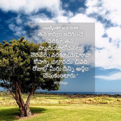 Picture 04 - యిర్మీయా 30:24 TELIRV - తన కార్యం - Bible Verse Picture
