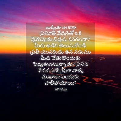 Picture 04 - యిర్మీయా 30:6 TELIRV - ప్రసూతి వేదనతో ఒక - Bible Verse Picture