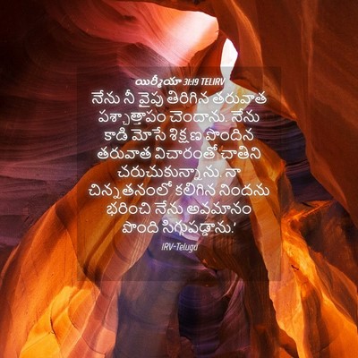Picture 04 - యిర్మీయా 31:19 TELIRV - నేను నీ వైపు - Bible Verse Picture