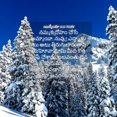Picture 04 - యిర్మీయా 31:22 TELIRV - నమ్మకద్రోహం చేసే - Bible Verse Picture