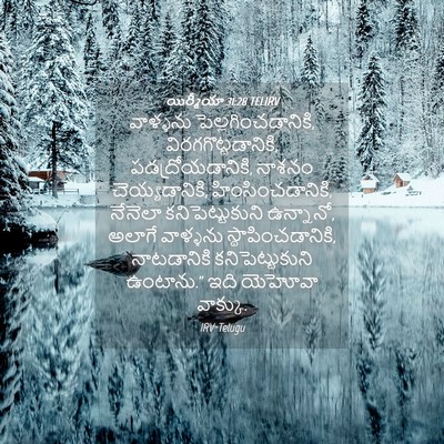 Picture 04 - యిర్మీయా 31:28 TELIRV - వాళ్ళను - Bible Verse Picture