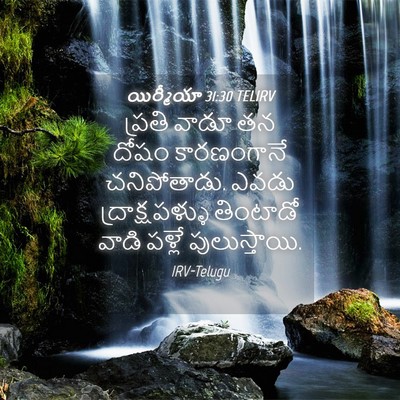 Picture 04 - యిర్మీయా 31:30 TELIRV - ప్రతి వాడూ తన దోషం - Bible Verse Picture
