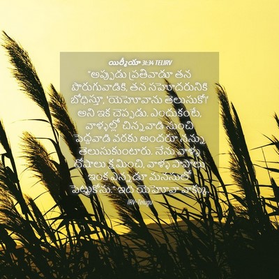Picture 04 - యిర్మీయా 31:34 TELIRV - “అప్పుడు - Bible Verse Picture