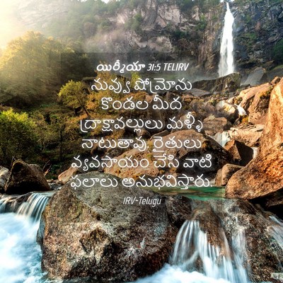 Picture 04 - యిర్మీయా 31:5 TELIRV - నువ్వు షోమ్రోను - Bible Verse Picture