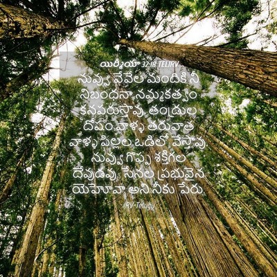 Picture 04 - యిర్మీయా 32:18 TELIRV - నువ్వు వేవేల - Bible Verse Picture