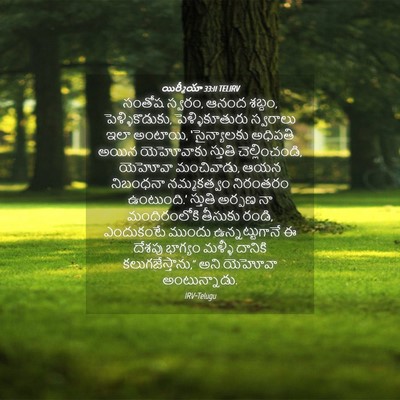 Picture 04 - యిర్మీయా 33:11 TELIRV - సంతోష స్వరం, ఆనంద - Bible Verse Picture