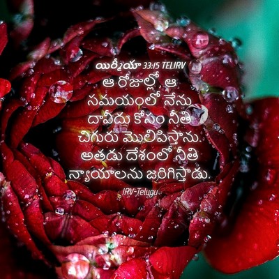 Picture 04 - యిర్మీయా 33:15 TELIRV - ఆ రోజుల్లో, ఆ - Bible Verse Picture