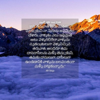 Picture 04 - యిర్మీయా 34:16 TELIRV - కాని, తరువాత మీరు - Bible Verse Picture